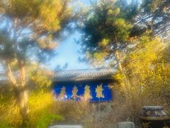 -爱新觉罗皇家博物院