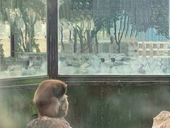 -水绘园