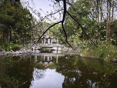 -叶家花园