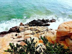-桃花岛风景旅游区