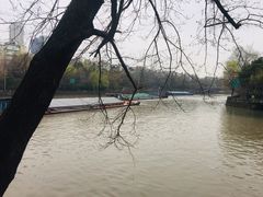 -运河游船(武林门码头)