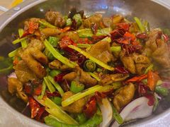 蜀香辣肥肠-老蜀人川菜馆(中关村店)