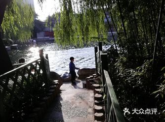 养的鸭子特别可爱 还有一些游乐项目，可以划船