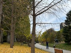 -元大都城垣遗址公园