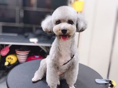 -小尾巴宠物店(万科·金域华庭店)