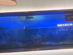 -老板恋上鱼(印象城店)