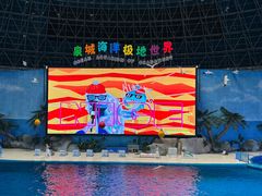 -泉城欧乐堡海洋极地世界