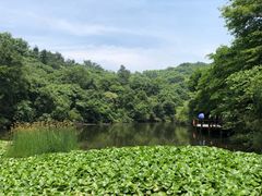 -天目湖山水园