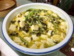 地皮菜烩豆腐-上庄晋风庄园(上庄店)