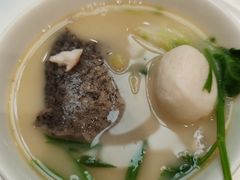 -丁老爷子苏香圆