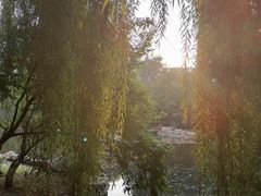 -保利·罗兰香谷