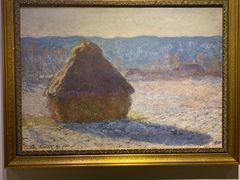 -印象莫奈时光映迹艺术展