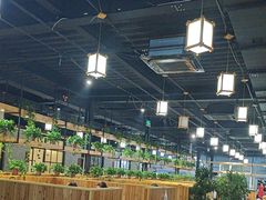 -桃源村铁锅炖鱼(体育馆道店)