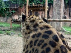 -杭州野生动物世界