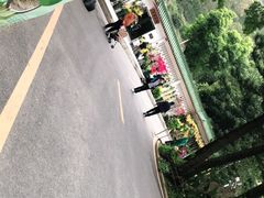 -深圳仙湖植物园