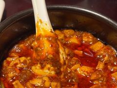 -陈麻婆豆腐总店