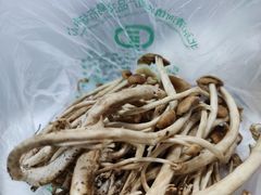 榛蘑-北京清河镇农副产品交易市场中心