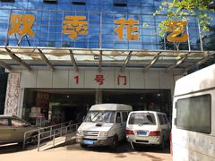 -双季花艺园艺市场(浦东店)