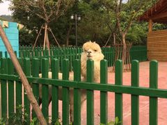-无锡动物园·太湖欢乐园