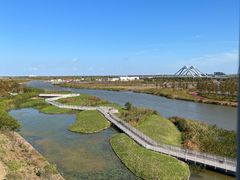 -春花秋色城市公园