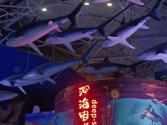 -烟台海昌鲸鲨海洋公园