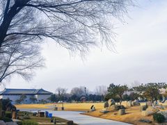 -中国唐苑