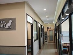 -爱派特动物医院·全科诊疗中心