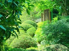 -龙井草堂