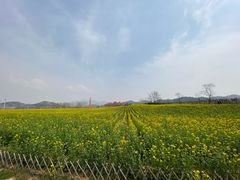 -西海岸生态观光园