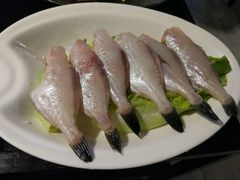 -锅说大脸毛肚重庆老火锅(佐阾店)
