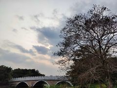 -海珠湖公园