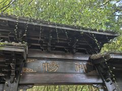 -富春桃源风景区