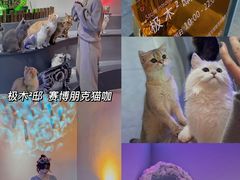 -极木²邸 人与宠物·互动社区