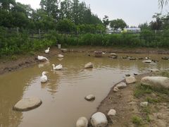 -前小桔亲子创意农场·草莓采摘·露营烧烤