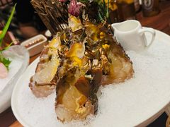 -揽季锅物会.福建黄鱼.海鲜姿造(五四路店)