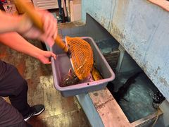 -忆乡情铁锅炖鱼饭店(延庆店)