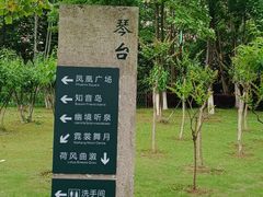 -月湖风景区