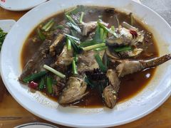 -渔家小院观海海肠捞饭地方菜(环海中路店)