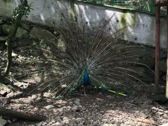 -藏龙百瀑风景区