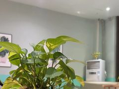 -椰椰榴椰子鸡·糟粕醋火锅(兴华南街店)