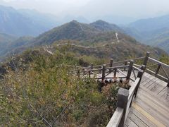 -大岭沟猕猴桃谷风景区