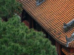 -铁山坪森林公园