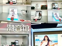 -京东电器城市旗舰店(深圳华强北店)