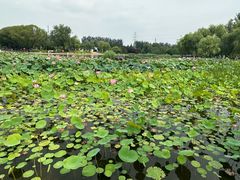 -太阳宫公园