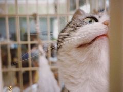 -情忆草原涮肉馆