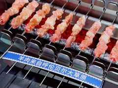 -很久以前羊肉串(清河店)