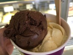 香草冰淇淋-Dooley's Premium Ice Cream