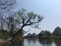 -生态苑农庄(十里画廊遇龙河店)