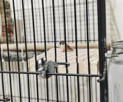 -Oasis Beauty水磨坊科技美肤中心