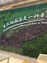 -玛丽亚妇产医院